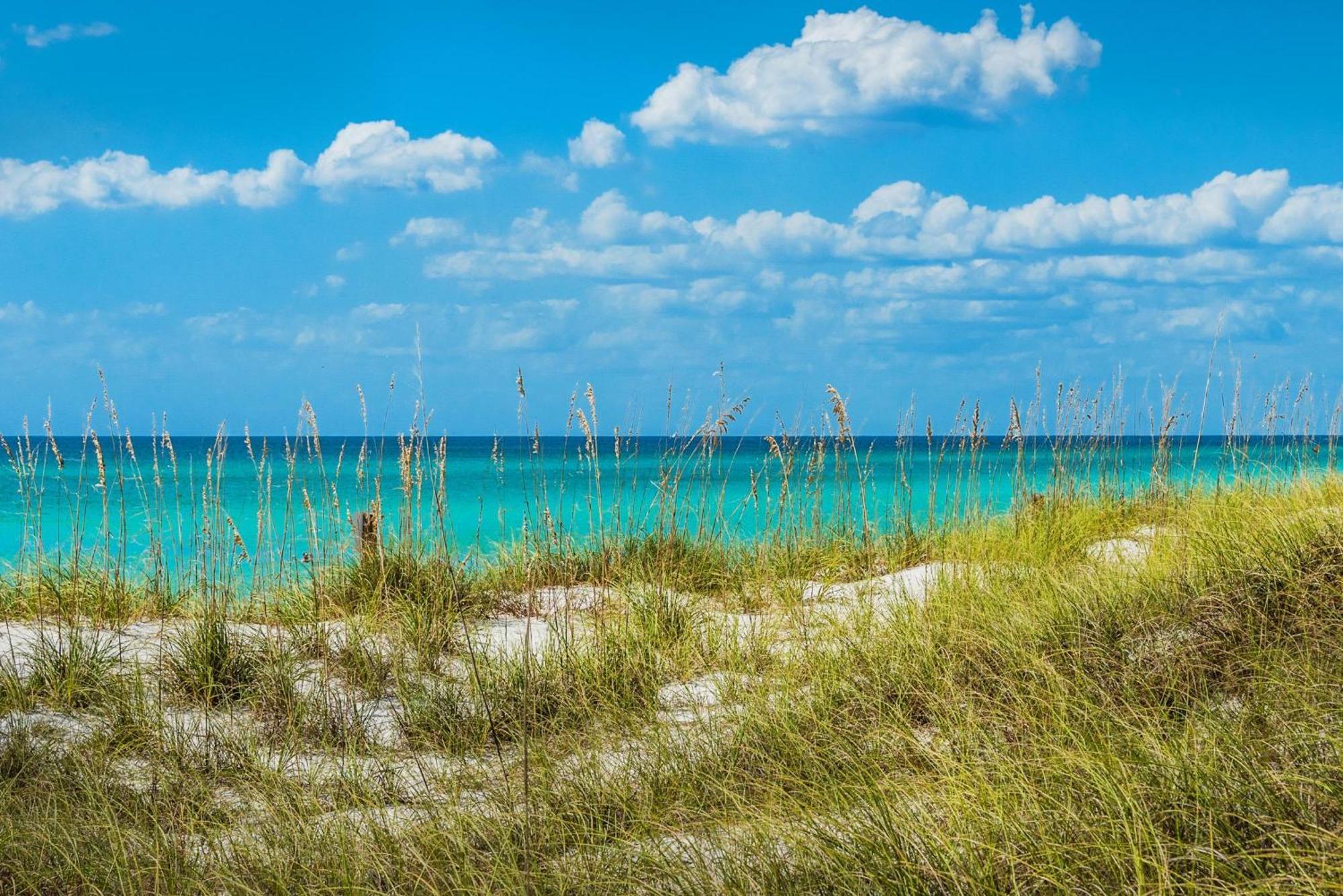 Calypso 1-608 East Aparthotel Panama City Beach Exteriör bild